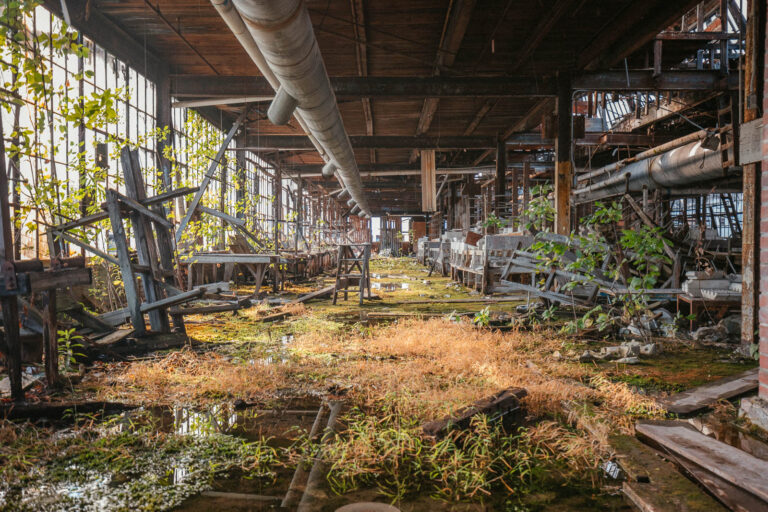 Overgrown Factory