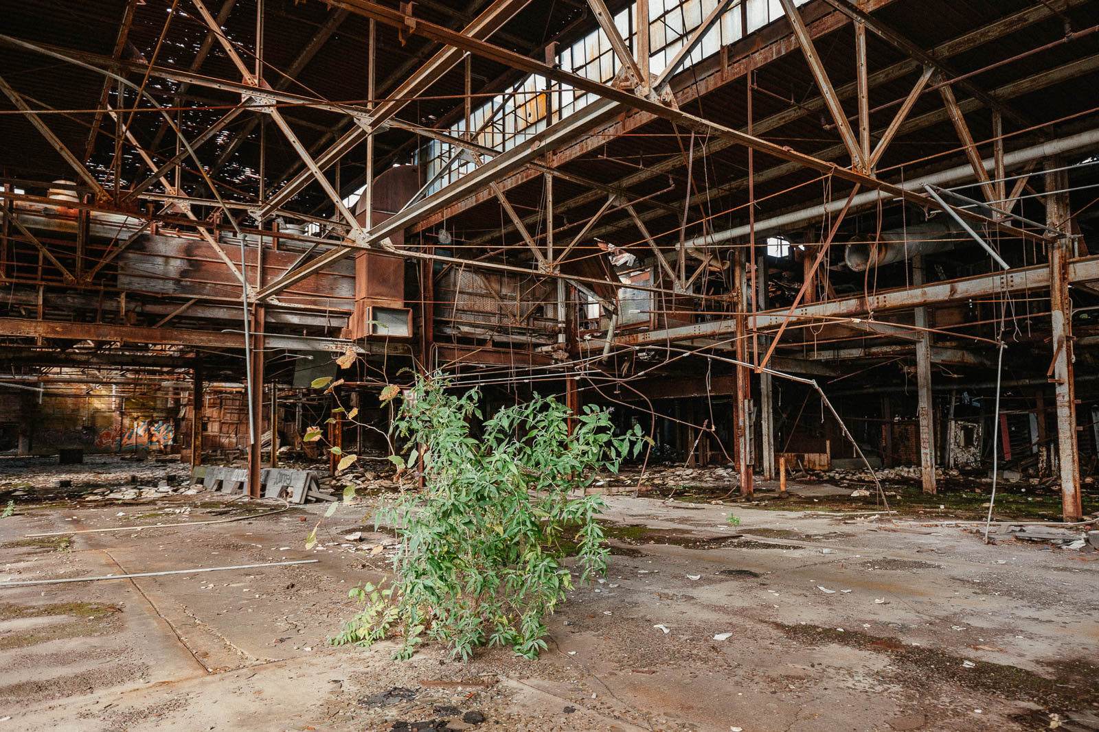 Abandoned Shenango China Factory
